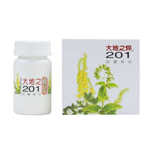 Load image into Gallery viewer, Protection Four Seasons Safe 201