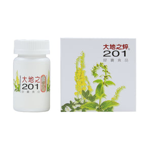 Protection Four Seasons Safe 201
