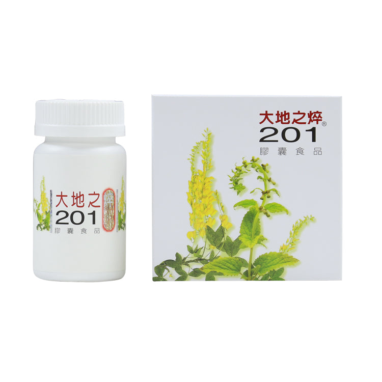 Protection Four Seasons Safe 201