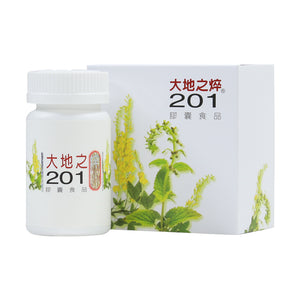 Protection Four Seasons Safe 201