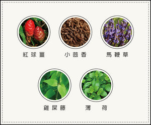Protection Four Seasons Safe 201